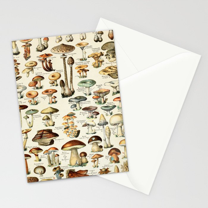 Vintage Mushroom & Fungi Chart by Adolphe Millot Stationery Card Gallery Image 2