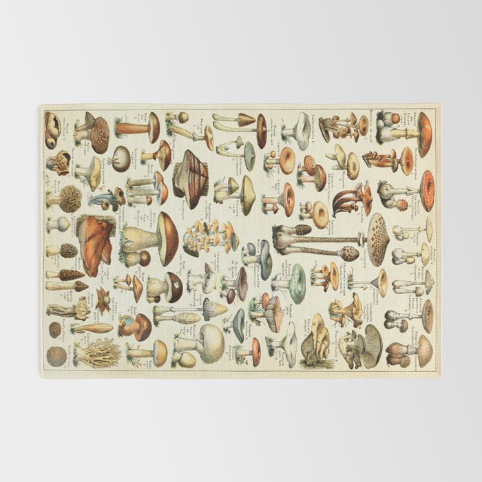 Vintage Mushroom & Fungi Chart by Adolphe Millot Rug Gallery Image 2