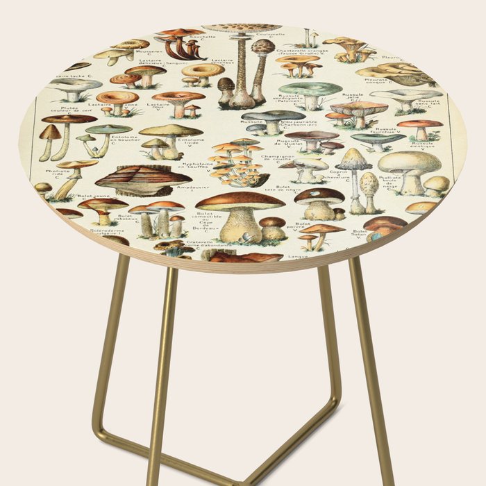 Vintage Mushroom & Fungi Chart by Adolphe Millot Side Table Gallery Image 2