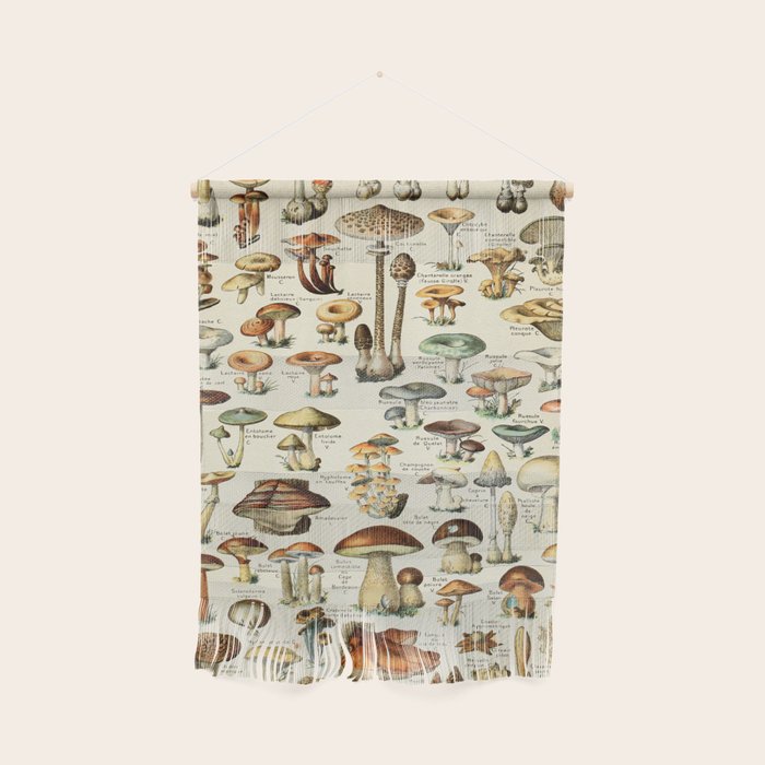 Vintage Mushroom & Fungi Chart by Adolphe Millot Wall Hanging Gallery Image 1