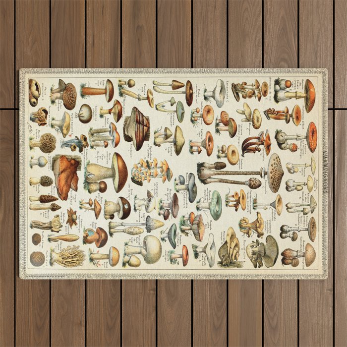 Vintage Mushroom & Fungi Chart by Adolphe Millot Outdoor Rug Gallery Image 1