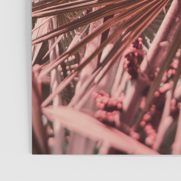 Summer Morning Poster Gallery Image 3