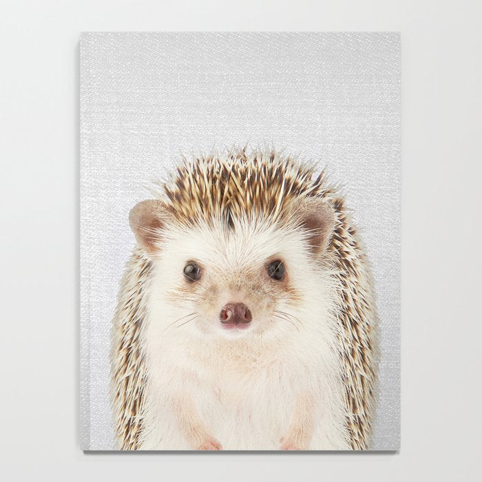 Hedgehog - Colorful Notebook Gallery Image 4