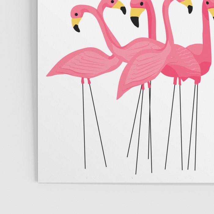 Cuban Pink Flamingos Poster Gallery Image 3
