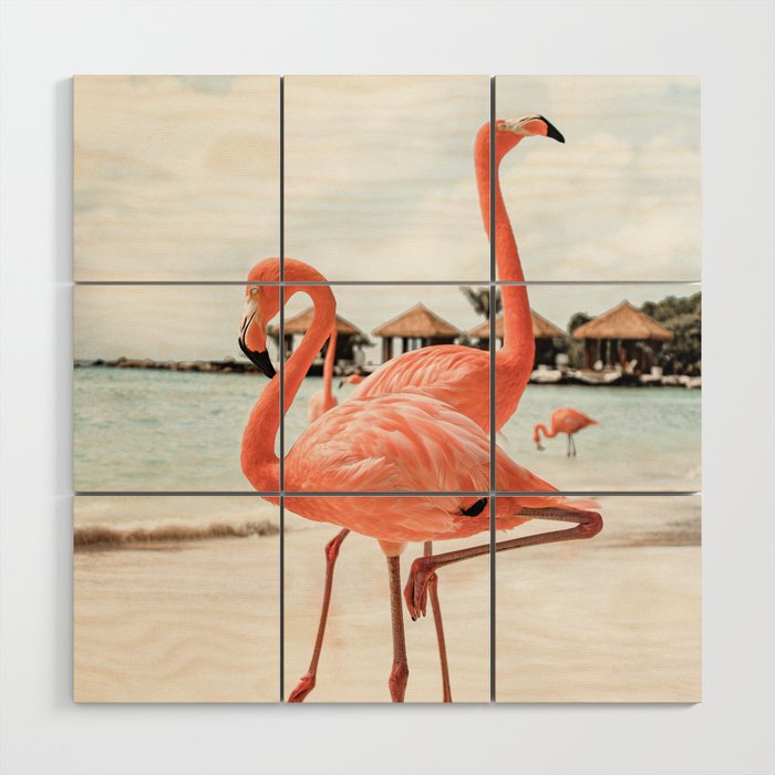 Pink Flamingos On Aruba Island Art Photo | Caribbean Beach Wall Print | Tropical Travel Photography Wood Wall Art Gallery Image 1