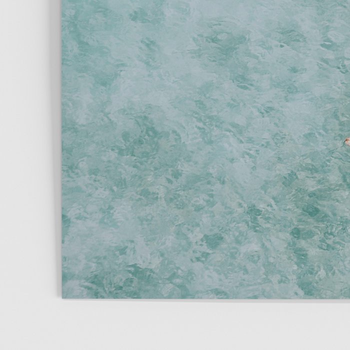 float xvi Poster Gallery Image 3