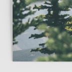 Mount Hood VII Poster Gallery Image 3