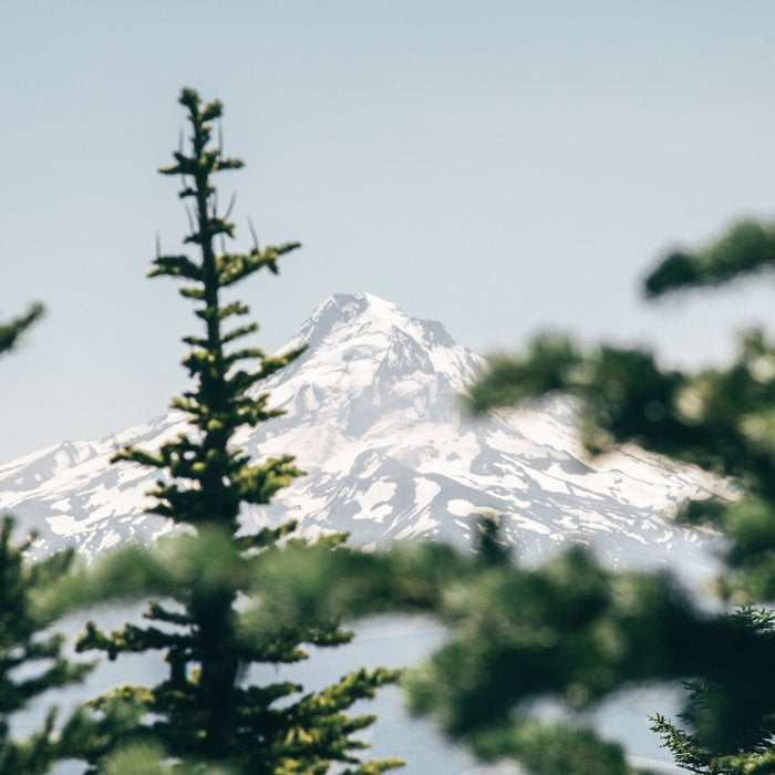 Mount Hood VII Coffee Mug Gallery Image 2