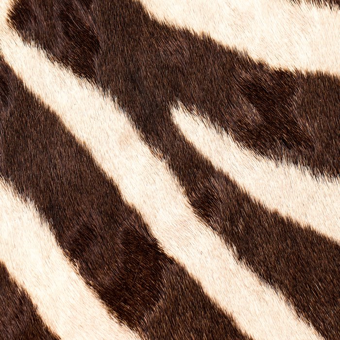 Zebra #decor #society6 #buyart Coffee Mug Gallery Image 2