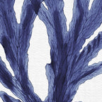 Seaweed 6 Coffee Mug Gallery Image 2