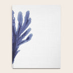 Seaweed 6 Notebook Gallery Image 4