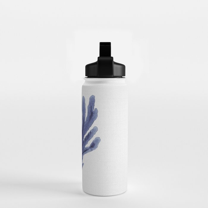 Seaweed 6 Water Bottle Gallery Image 2