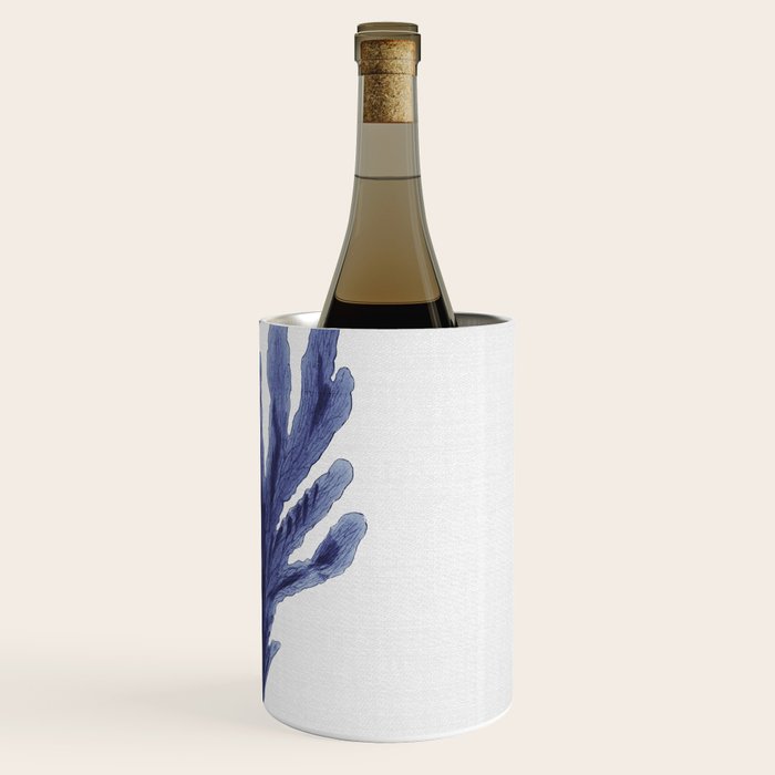 Seaweed 6 Wine Chiller Gallery Image 3