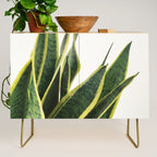 Sansevieria Credenza Gallery Image 1