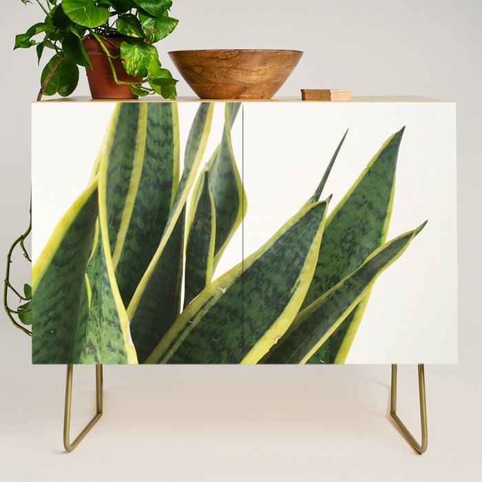 Sansevieria Credenza Gallery Image 1