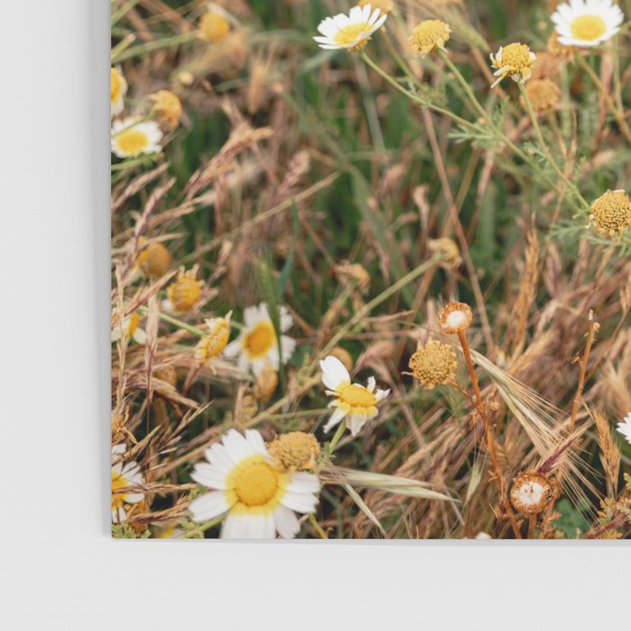 Wildflowers on the coast in Ericeira | Portugal travel photography Poster Gallery Image 3