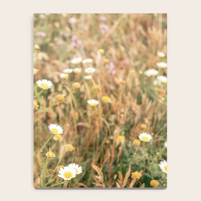 Wildflowers on the coast in Ericeira | Portugal travel photography Notebook Gallery Image 4