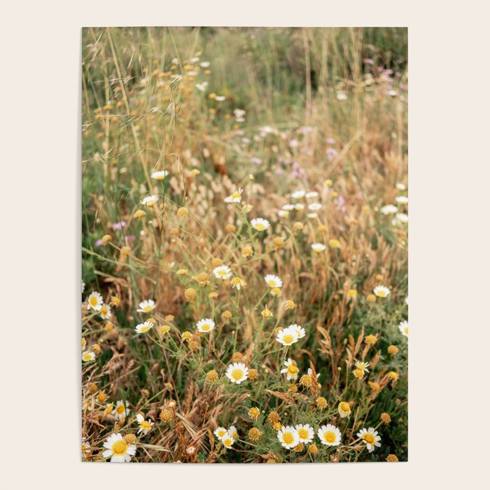 Wildflowers on the coast in Ericeira | Portugal travel photography Poster Gallery Image 4