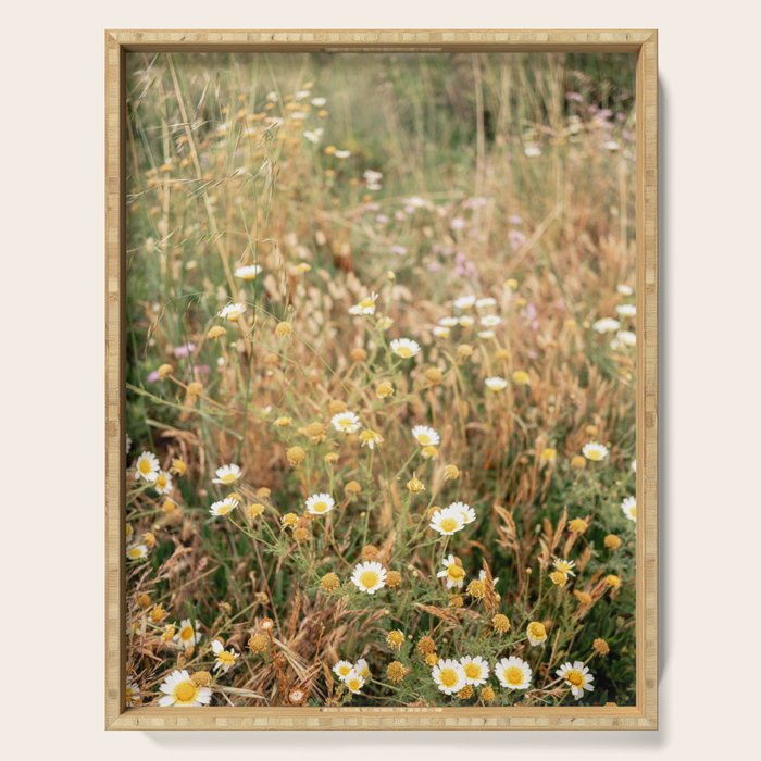 Wildflowers on the coast in Ericeira | Portugal travel photography Serving Tray Gallery Image 1