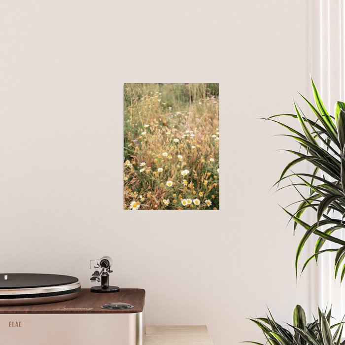 Wildflowers on the coast in Ericeira | Portugal travel photography Poster Gallery Image 2
