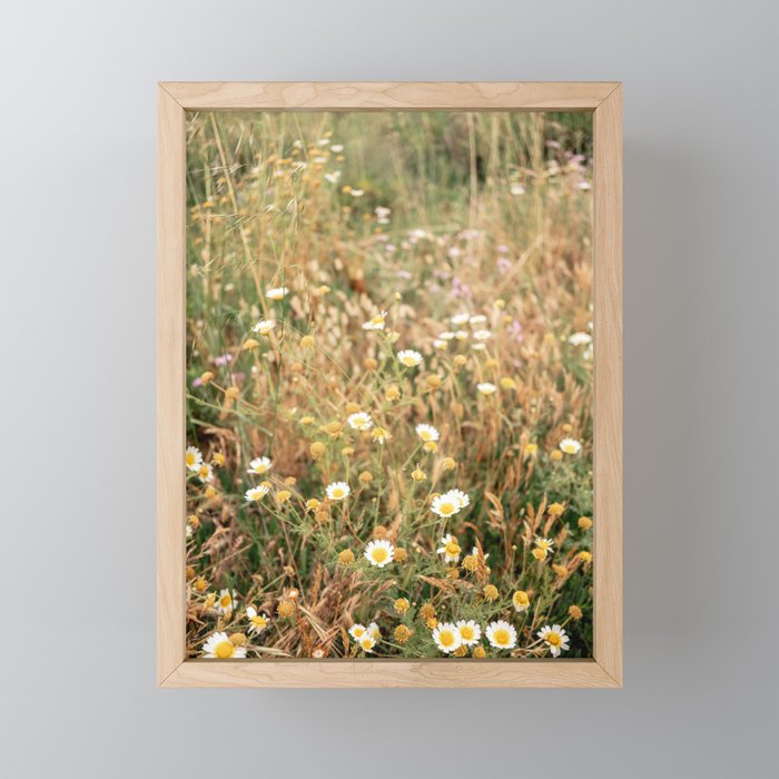 Wildflowers on the coast in Ericeira | Portugal travel photography Mini Art Print Gallery Image 1