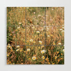 Wildflowers on the coast in Ericeira | Portugal travel photography Wood Wall Art Gallery Image 1