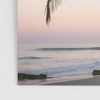 Costa Rica | The pastel palm tree  Poster Gallery Image 3