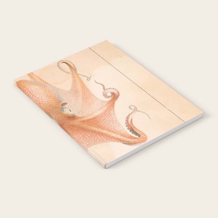 Octopus from "Mollusques Méditeranéens" by Jean Baptiste Vérany, 1851 Notebook Gallery Image 2