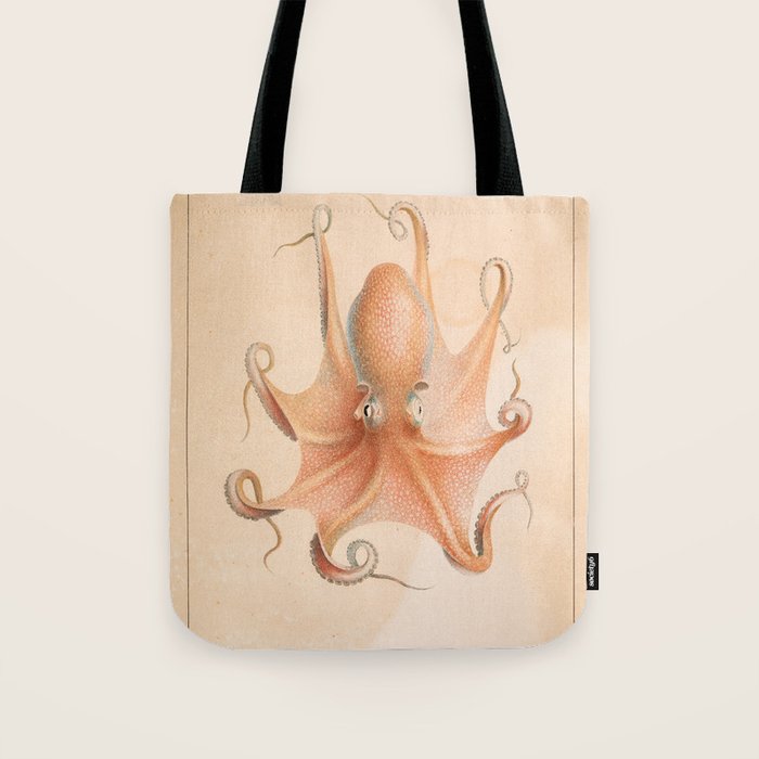 Octopus from "Mollusques Méditeranéens" by Jean Baptiste Vérany, 1851 Tote Bag Gallery Image 1