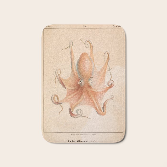 Octopus from "Mollusques Méditeranéens" by Jean Baptiste Vérany, 1851 Bath Mat Gallery Image 1