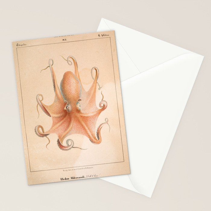 Octopus from "Mollusques Méditeranéens" by Jean Baptiste Vérany, 1851 Stationery Card Gallery Image 2