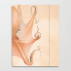 Octopus from "Mollusques Méditeranéens" by Jean Baptiste Vérany, 1851 Notebook Gallery Image 4