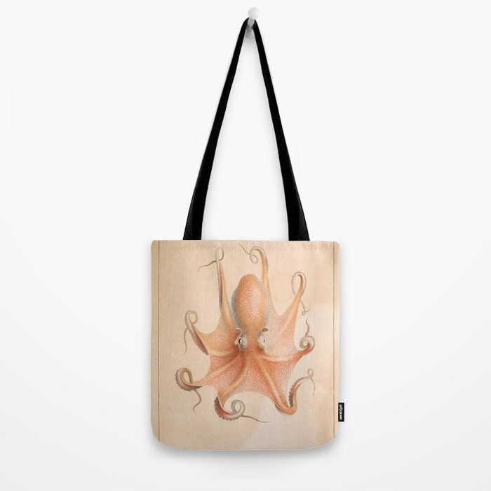 Octopus from "Mollusques Méditeranéens" by Jean Baptiste Vérany, 1851 Tote Bag Gallery Image 2