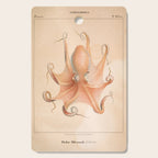 Octopus from "Mollusques Méditeranéens" by Jean Baptiste Vérany, 1851 Cutting Board Gallery Image 1
