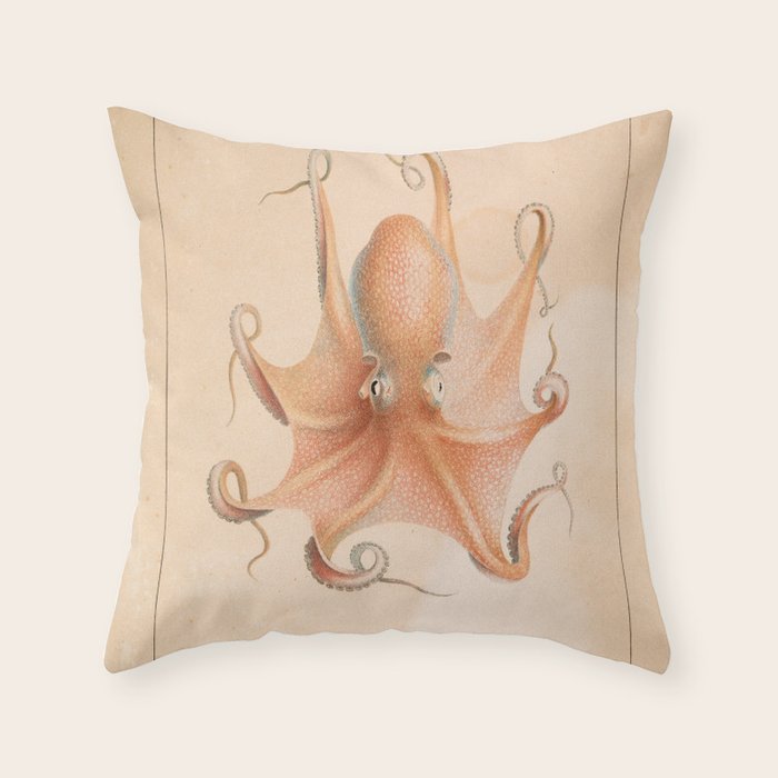 Octopus from "Mollusques Méditeranéens" by Jean Baptiste Vérany, 1851 Throw Pillow Gallery Image 6