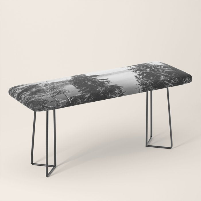 Mountain Lake Forest Black and White Nature Photography Bench Gallery Image 1