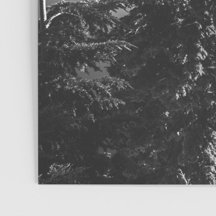 Mountain Lake Forest Black and White Nature Photography Poster Gallery Image 3