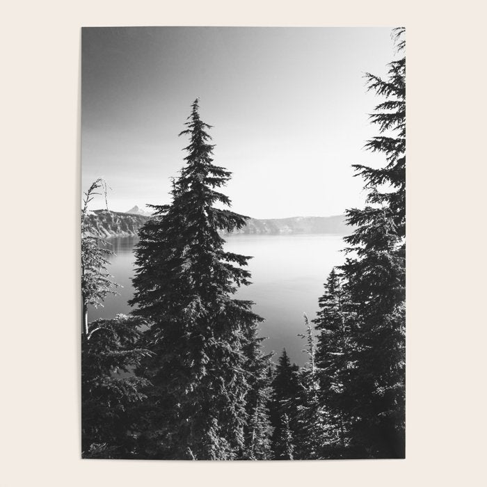 Mountain Lake Forest Black and White Nature Photography Poster Gallery Image 4