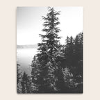 Mountain Lake Forest Black and White Nature Photography Notebook Gallery Image 4