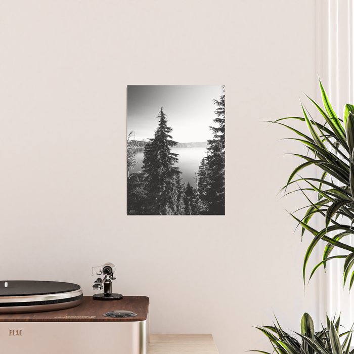 Mountain Lake Forest Black and White Nature Photography Poster Gallery Image 2