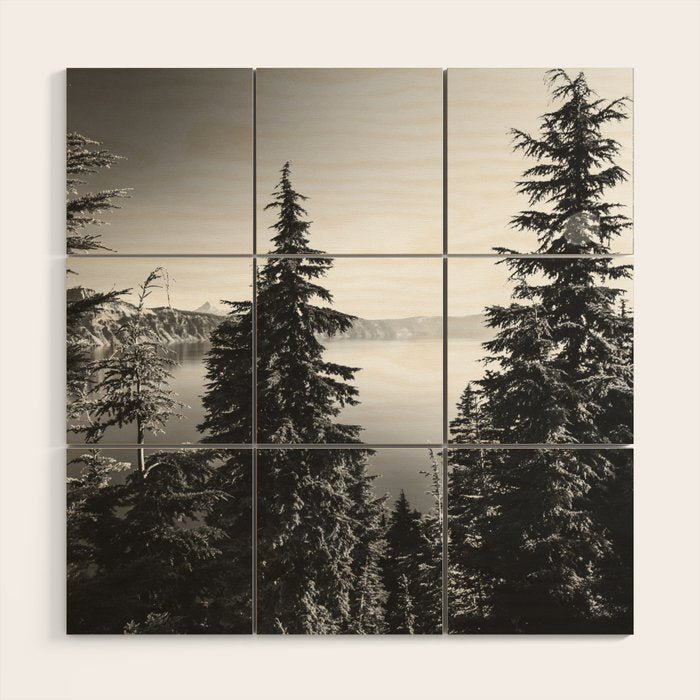 Mountain Lake Forest Black and White Nature Photography Wood Wall Art Gallery Image 1