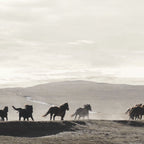 Horses on the Dunes Coffee Mug Gallery Image 2