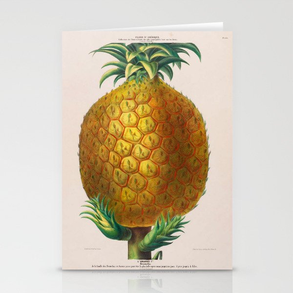 Pineapple from "Flore dâAmÃ©rique" by Ãtienne Denisse, 1840s Stationery Card Gallery Image 1