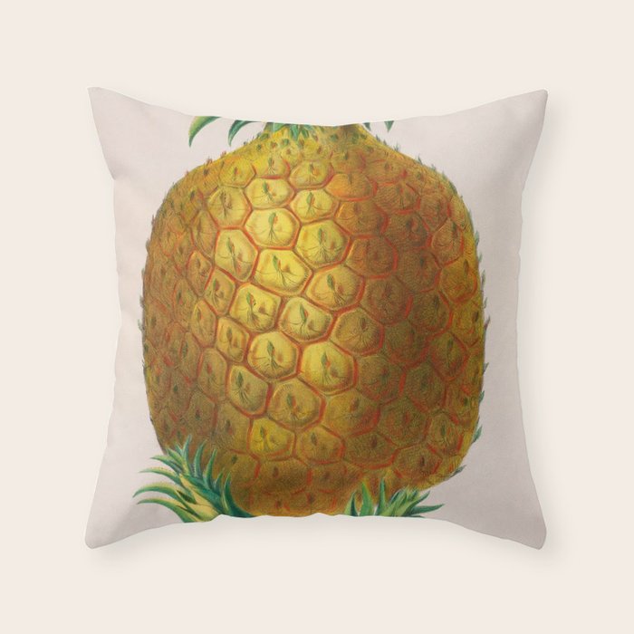 Pineapple from "Flore dâAmÃ©rique" by Ãtienne Denisse, 1840s Throw Pillow Gallery Image 2