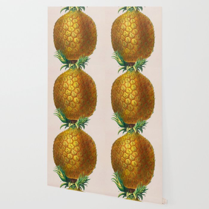 Pineapple from "Flore dâAmÃ©rique" by Ãtienne Denisse, 1840s Wallpaper Gallery Image 2