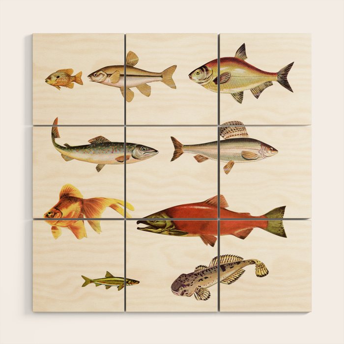 Fishing Line Wood Wall Art Gallery Image 1