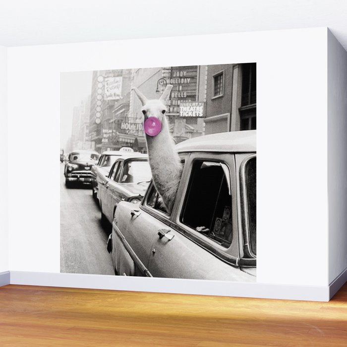 Perfect Pink Bubble Gum Llama taking a New York Taxi black and white photograph Wall Mural Gallery Image 2