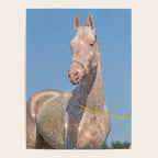 MAGIC HORSE | magical | glitter | sparkle | shiny | pet | animal | nature | blue | bling | collage  Poster Gallery Image 4