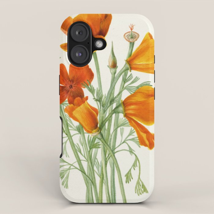 California Poppy Vintage Botanical Print, Mary Vaux Walcott iPhone Case Gallery Image 1