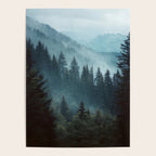 Misty Pine Forest Poster Gallery Image 4